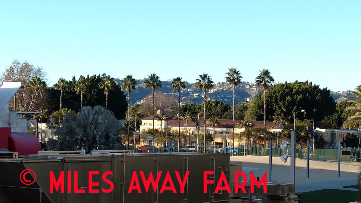 IMG_20180123_161506660watermark