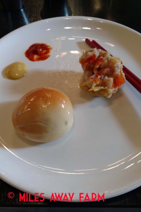 IMG_20180125_133248900watermark