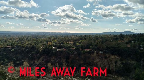 IMG_20180125_144738523_HDRwatermark