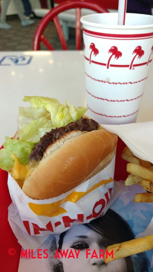 IMG_20180126_140514130watermark