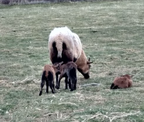 IMG_20180301_083113338_HDR