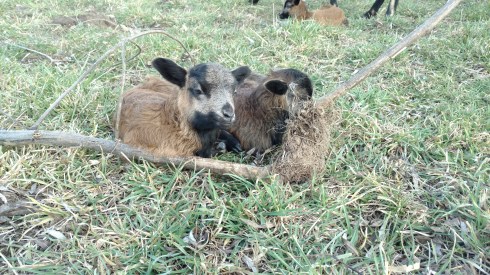 IMG_20180304_143620293