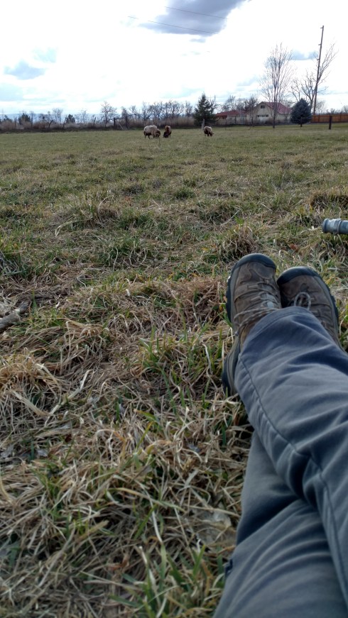 IMG_20180304_143719932_HDR