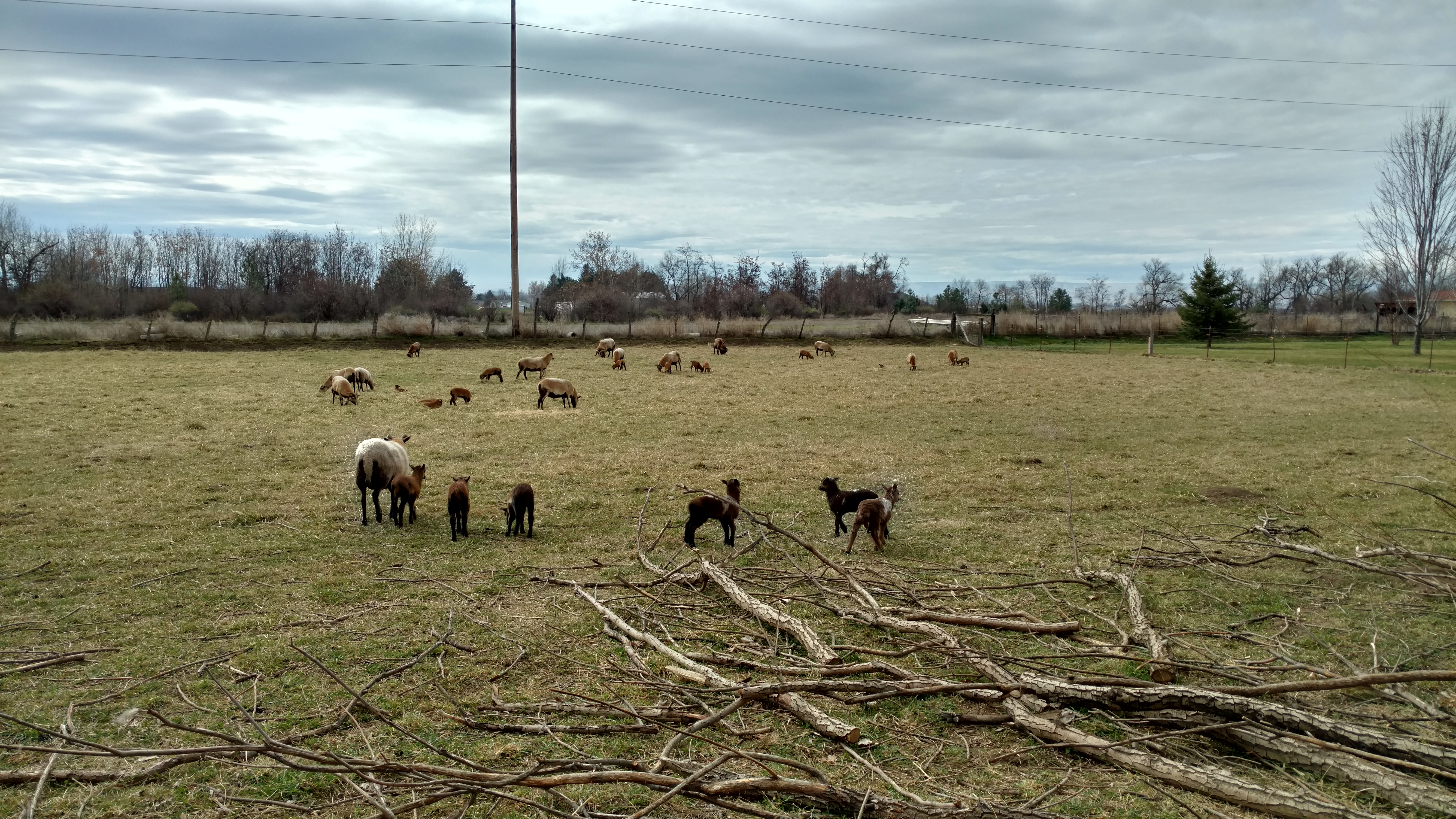 IMG_20180321_113646404_HDR