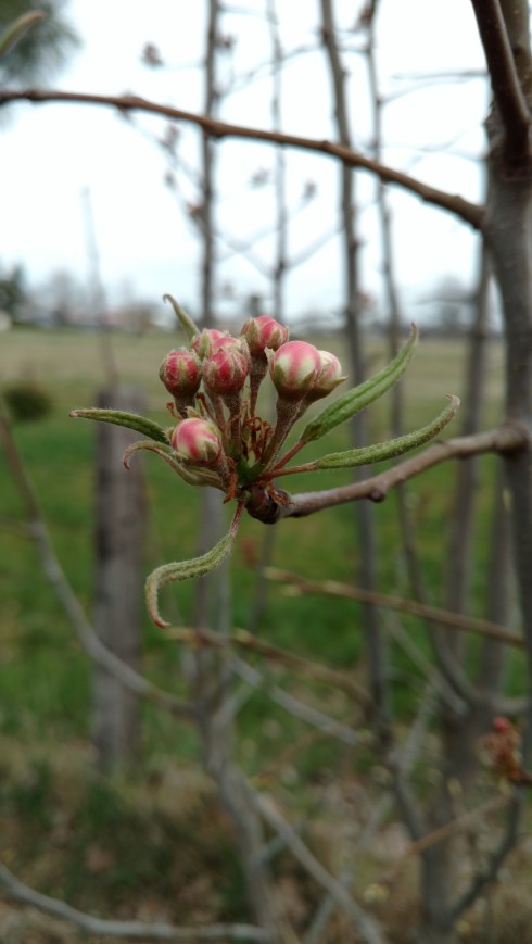 IMG_20180330_122727350