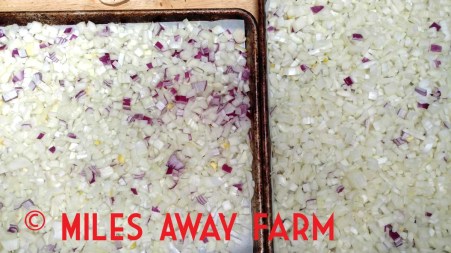Diced onions on a sheet pan