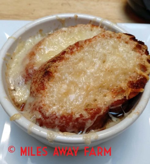 Bowl of French Onion Soup