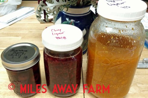 IMG_20180709_182147036watermark