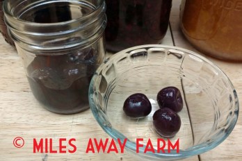 IMG_20180709_182229278watermark