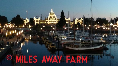 Victoria BC at night