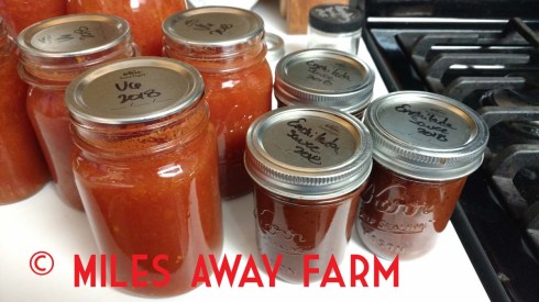 V6 juice and Salsa Roja sauce