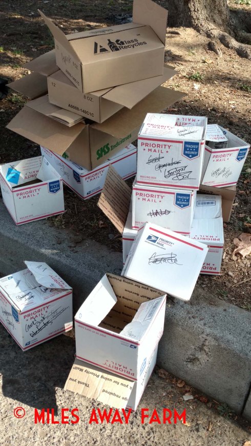 Empty boxes from a busy market day.