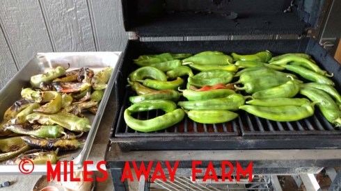 Joe Parker chilies roasting on the grill. 