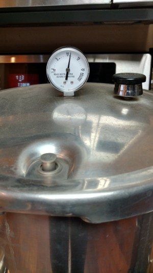 Dial gauge pressure canner