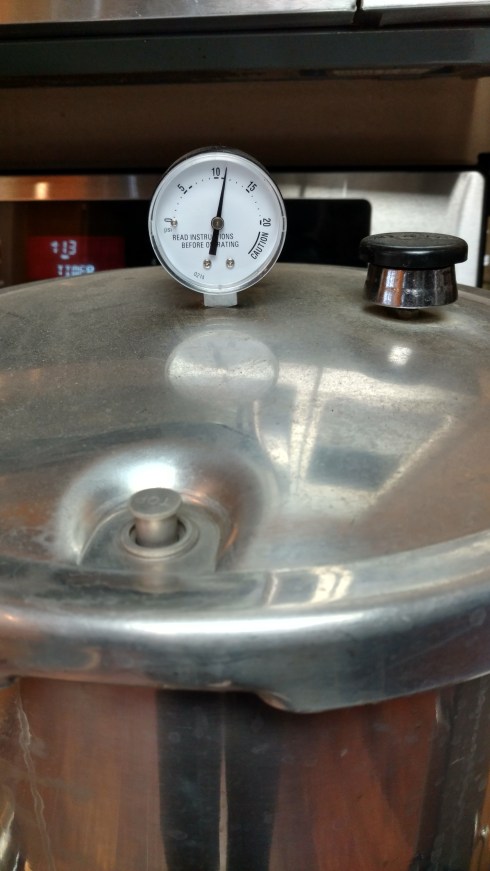 Dial gauge pressure canner