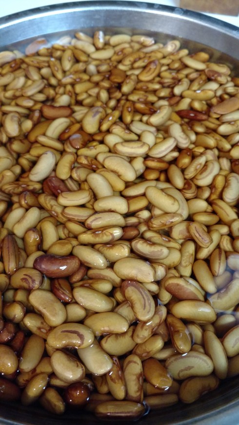 Soaked Tiger Eye Beans ready for the canner