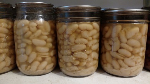 Canned Cannellini Beans
