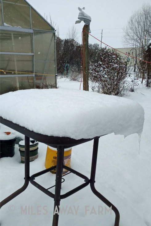 Snow on outdoor table