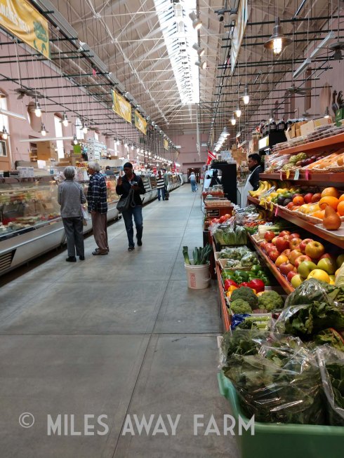 IMG_20190417_112845046watermark