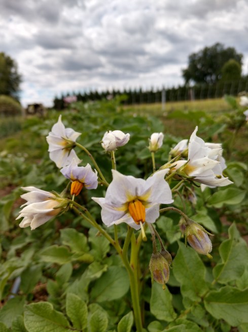 IMG_20190623_141434128_HDR