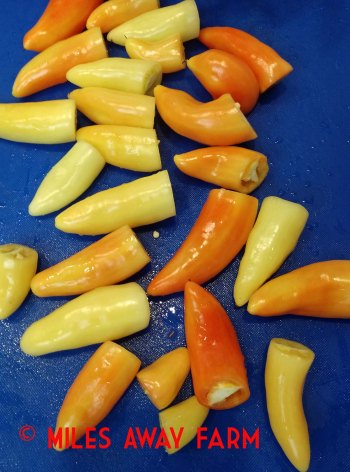 IMG_20190811_175423966watermark