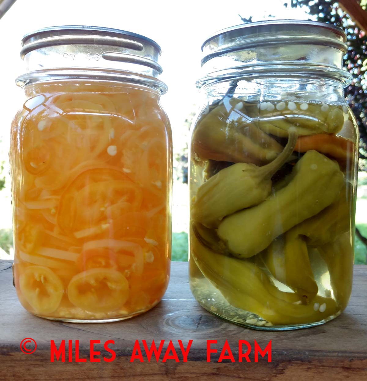 IMG_20190812_084510187_HDRwatermark